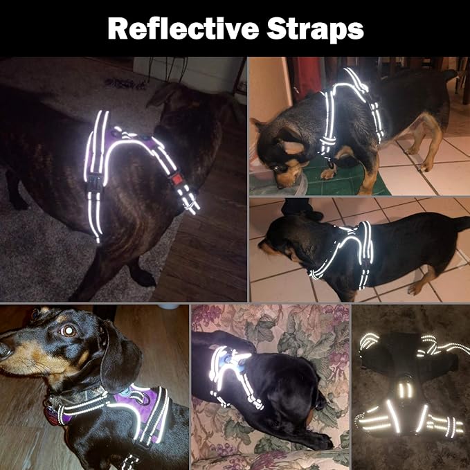 No Pull Dog Harnesses for Small Dogs Reflective Adjustable | Front Clip Vest with Handle 2 Metal Rings 3 Buckles [Easy to Put on & Take off](S, Blue)