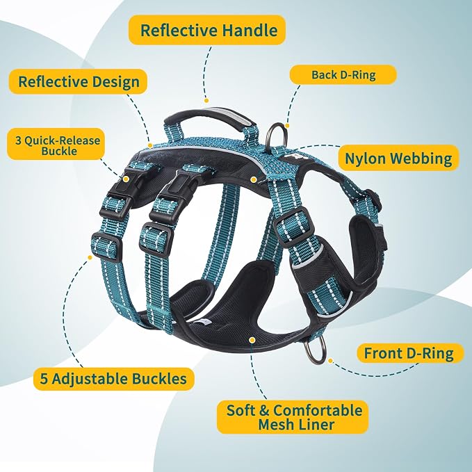 Service Dog Vest Harness, Escape Proof Harness with 6 Patches, No-Pull, Reflective Harness with Handle, Adjustable for Small to Large Dogs, for Training and Hiking (Teal, XS)