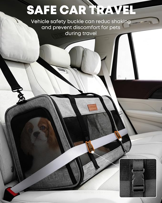 Foldable Cat Dog Carrier for Pets up to 15 Lb, Grey | Top & Side Entry, Soft-Sided Pet Carrier with Ventilated Anti-Scratch Mesh & Car Seat Buckle for Car Travel, 20×13×13 in