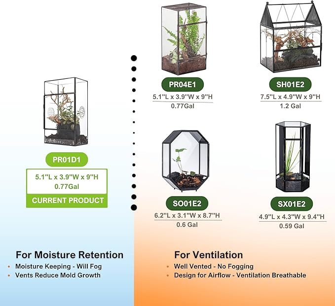 NCYP Glass Enclosure for Large Jumping Spider - 5.1" x 3.9" x 9" Front Opening Door Glass Terrarium with 3 Vent Holes, Small Snail, Insects Habitat, Black (Terrarium Only)