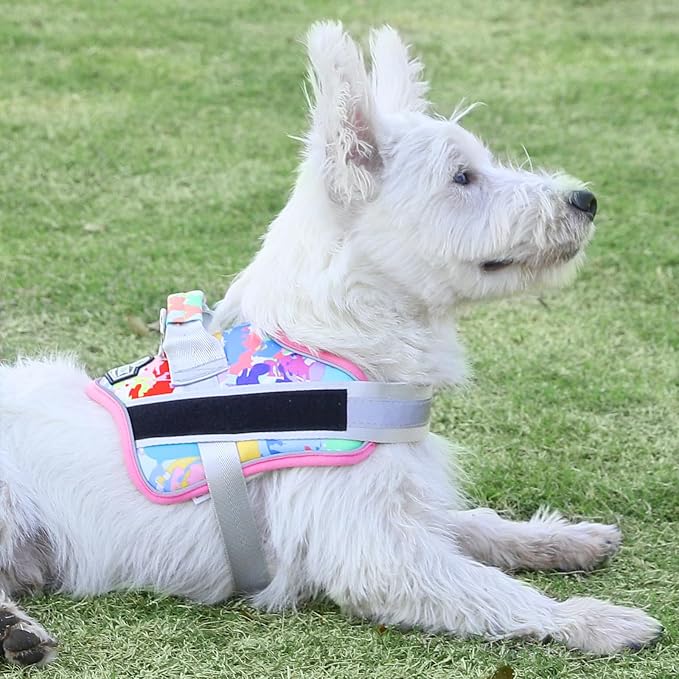 Dog Harness, No-Pull Reflective Dog Vest, Breathable Adjustable Pet Harness with Handle for Outdoor Walking - No More Pulling, Tugging or Choking (X-Large (Pack of 1), OilPainting)