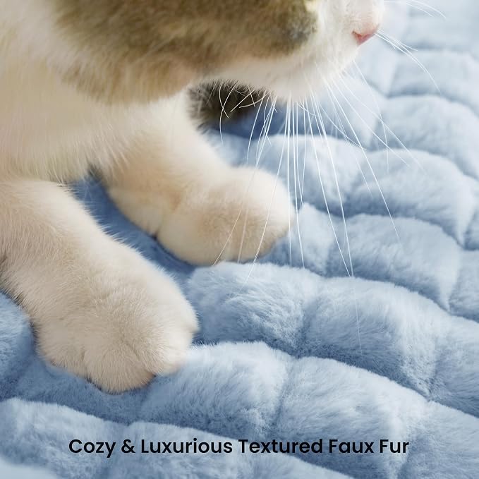 Cute Cat Couch Bed for Indoor Cats - Fluffy Faux Rabbit Fur Pet Sofa with Washable Cover, Fuzzy Pet Couch in Suppportive Small & Large Cats Beds, 24x18 x10 inch, Light Blue