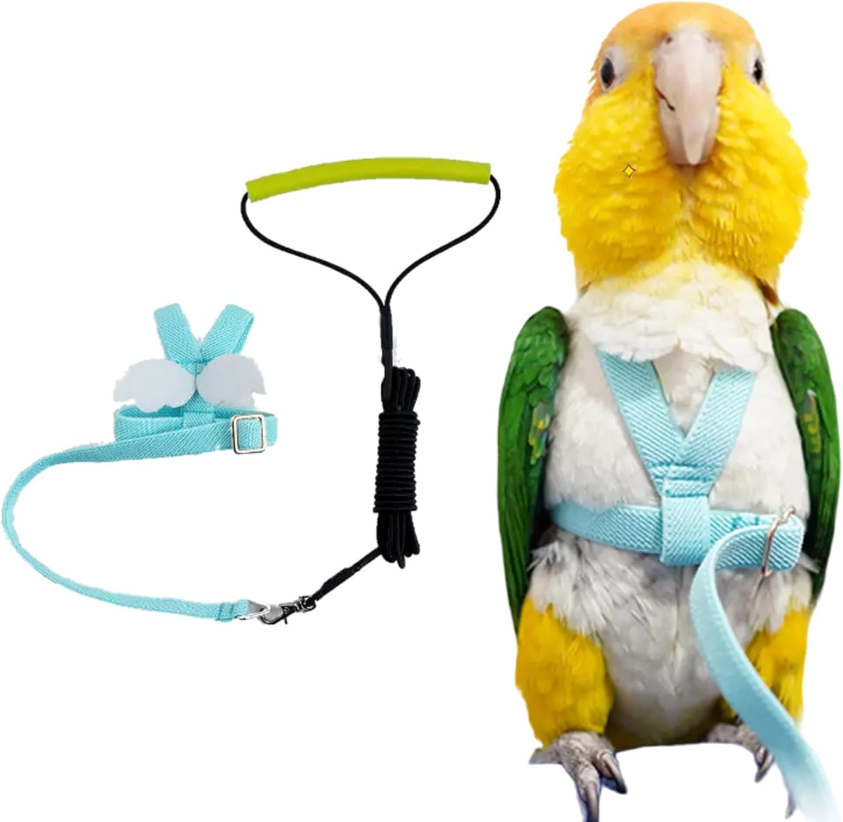 Pet Parrot Bird Harness Leash Adjustable Bird Flying Harness Traction Rope with Cute Wing for Parrots Pigeons Budgerigar Lovebird Cockatiel Mynah Outdoor Training Toy (L, Blue)