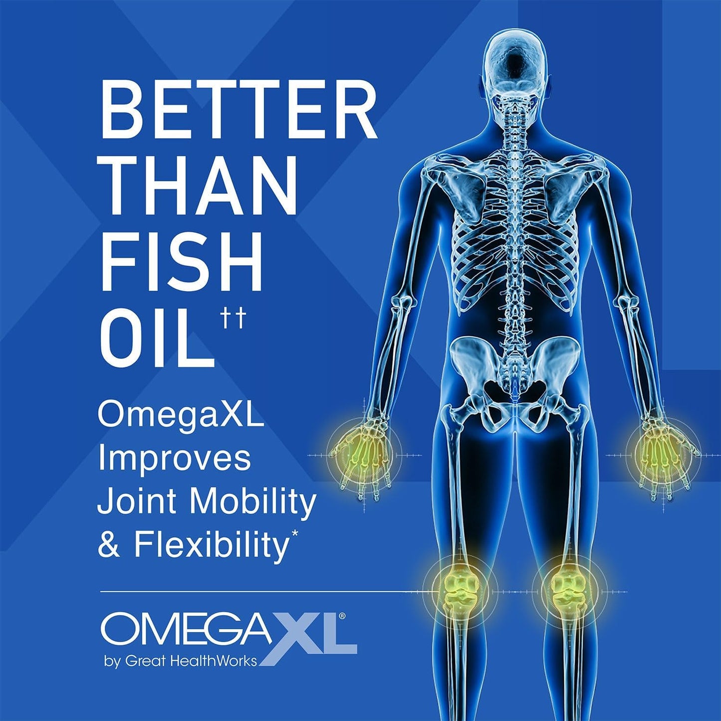 OmegaXL Joint Support Supplement - Natural Muscle Support, Green Lipped Mussel Oil, Soft Gel Pills, Drug-Free, 60 Count (2 Pack)