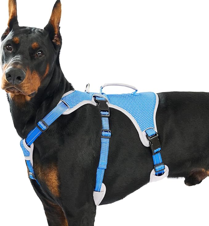 Escape Proof Dog Harness, Dachshund Harness, Reflective Dog Harness with Handle, Durable,Adjustable Vest for Small Medium Large Dogs Walking, Training, and Running Gear (Sea Blue,XL)