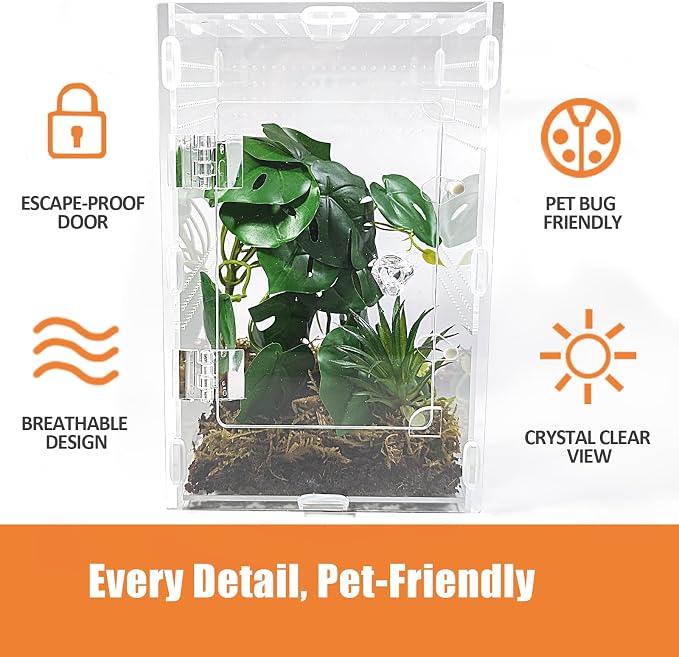 Acrylic Jumping Spider Enclosure Large 6”x6”x10” with Front Door, Arboreal Tarantula Enclosure, Praying Mantis Habitat for Spider, Mantis, Snail, Tarantula, Isopods, Beetles, Millipedes