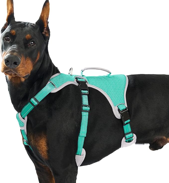 Escape Proof Dog Harness, Dachshund Harness, Reflective Dog Harness with Handle, Durable,Adjustable Vest for Small Medium Large Dogs Walking, Training, and Running Gear (Mint Green,XL)