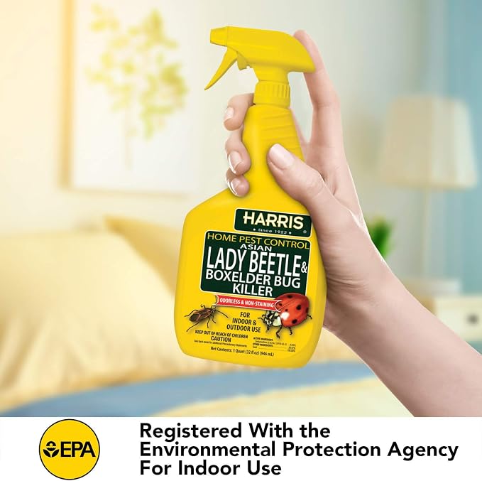 Harris Asian Lady Beetle and Box Elder Killer, Liquid Spray with Odorless and Non-Staining Extended Residual Kill Formula (32oz)