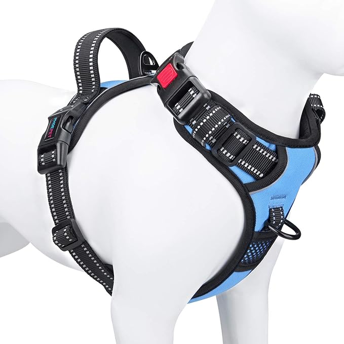 No Pull Dog Harness Reflective Adjustable Vest with Training Handle | Name ID Pocket, 2 Metal Leash Hooks, 3 Snap Buckles [Easy to Put on & Take Off](XS, Baby Blue)