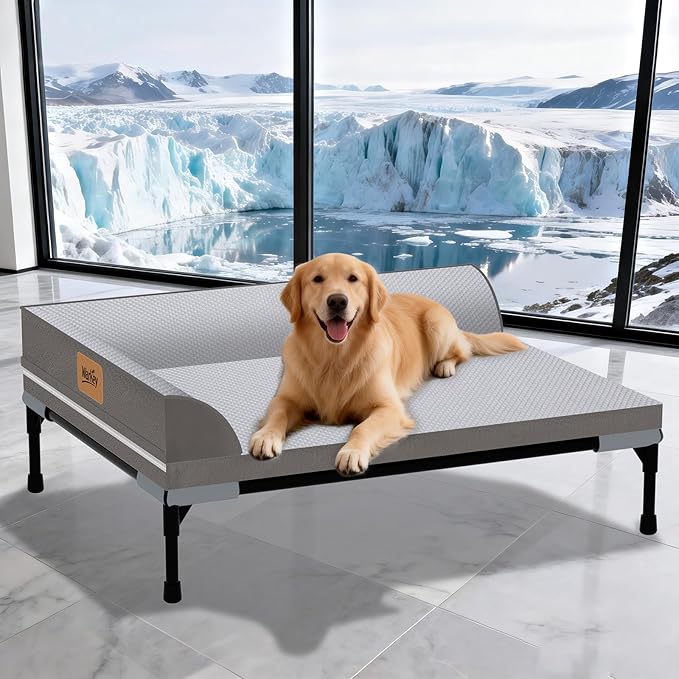 Elevated Cooling Dog Bed, Orthopedic Pet Bed for Extra Large Dogs, Removable Washable Cover, Indoor & Outdoor Raised Pet Cot with Breathable Mesh, Size: 49"*33"*9"