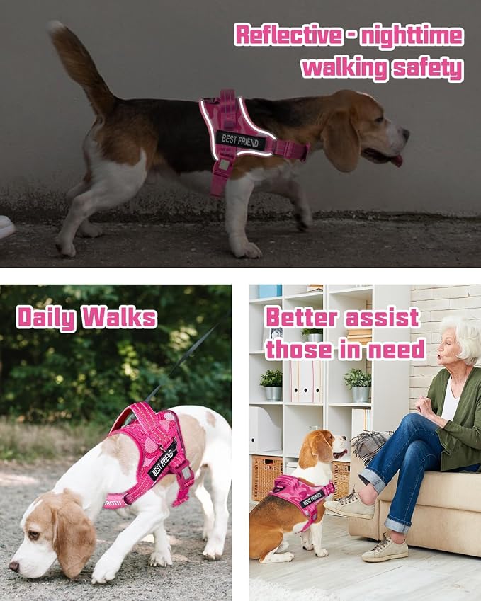 AUROTH Dog Harness and Leash Set Small Sized Dog, No Pull Escape Proof Vest | with Leash Clips, LED light clip, Breathable Mesh Padded No Choke, Easy Walking and Training, Pink Camo, Small