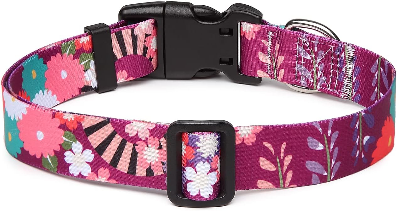 Mercano Adjustable Dog Collar - Special Design Patterns, Soft Nylon Comfortable Durable Pet Collar for Small Medium Large Dogs (S, Colorful Flower)
