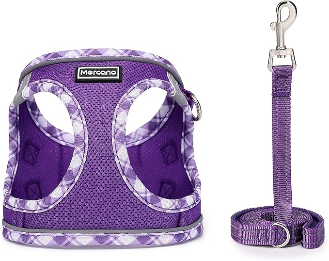 Mercano Soft Mesh Dog Harness and Leash Set, No-Chock Step-in Reflective Breathable Lightweight Easy Walk Vest Harnesses with Safety Buckle for Small Dogs, Cats (L, Purple)