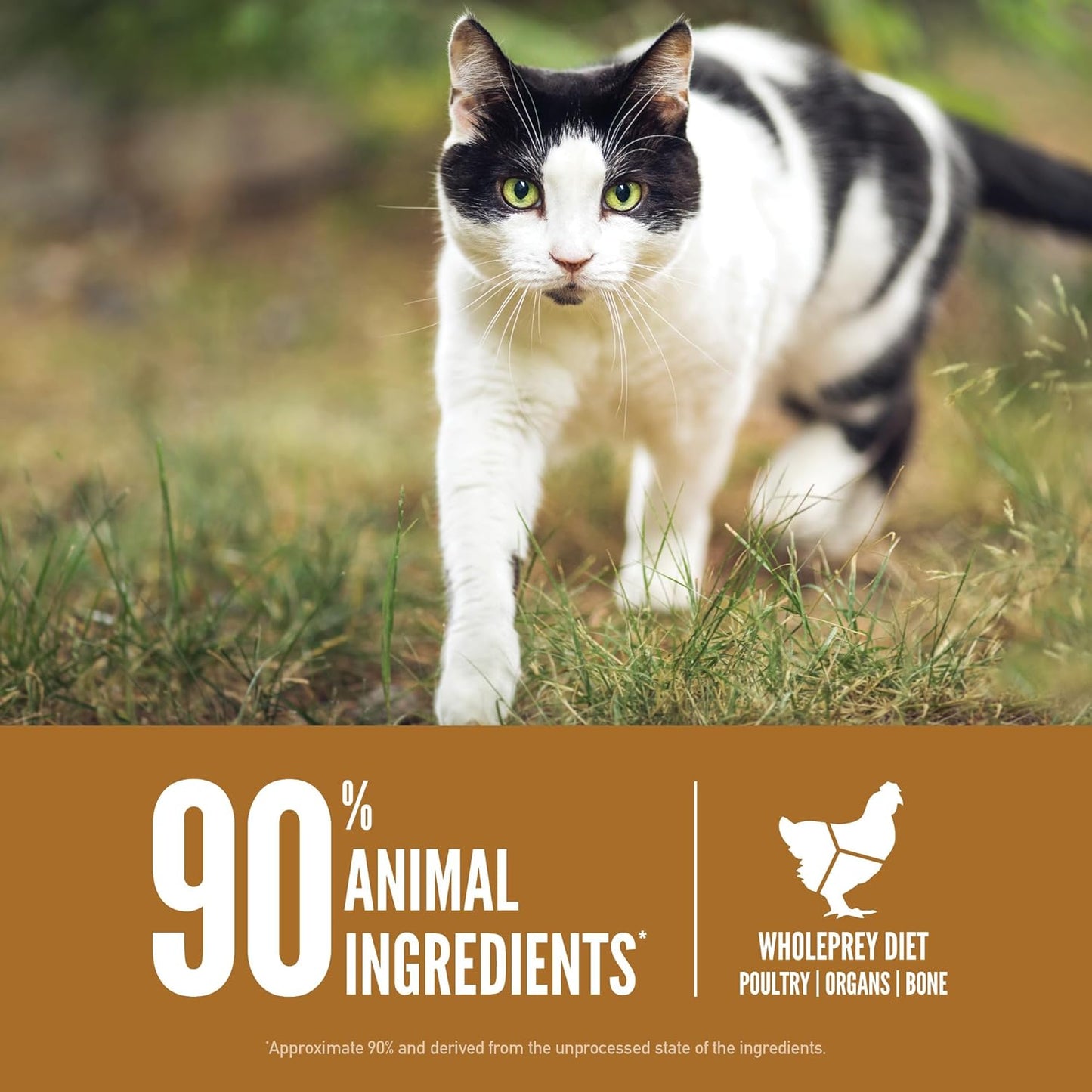 ORIJEN Grain Free High Protein Premium Dry Cat Food Original Recipe 12lb Bag