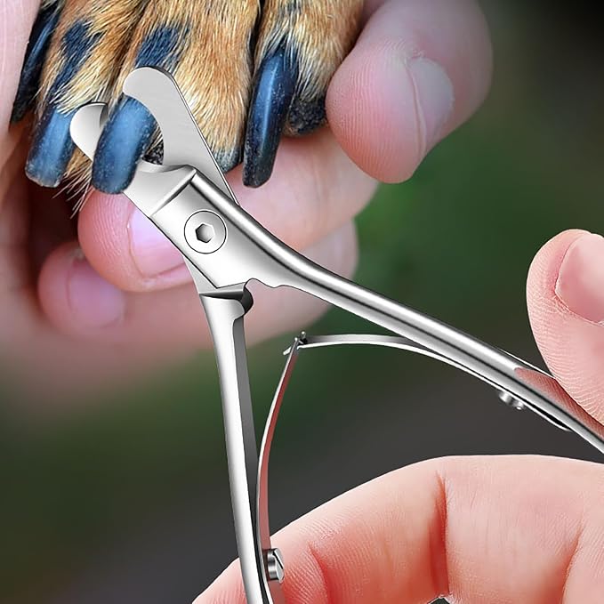 Dog & Cat Nail Clippers Trimmer Pet Grooming Tool | Sharp Stainless Steel Pet Nail Clippers For Dogs Cats Rabbits And Small to Large Pets.Grooming Claw Maintenance