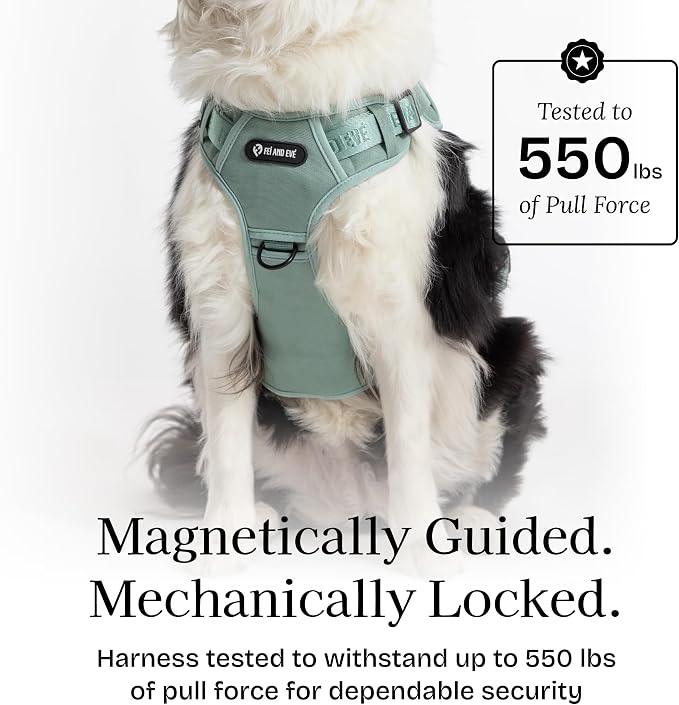 Fei & Eve Classic Dog Harness, MagEase Magnetic Buckle | 3-Point No-Pull Control, Dual Handle Support, 900D Nylon, Tactical Patch Panel, Heavy Duty, Small, Green
