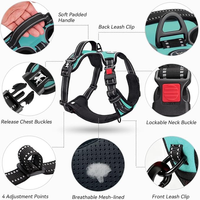 PoyPet No Pull Dog Harness Large with Front Clip & Neck Release Buckle | No Choke, Adjustable Vest, Reflective, Back Clip, Lockable, Soft Padded Handle for Walking Training, L, Mint Blue