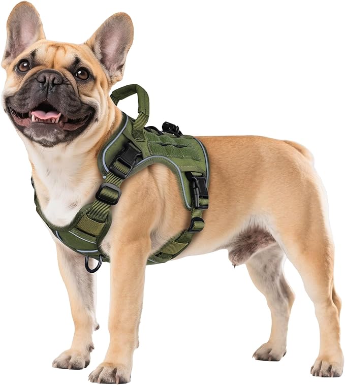 WINGOIN Green Tactical Dog Harness for Small Dogs,No Pull Dog Harness | Heavy Duty with Handle,Adjustable Reflective,Military K9 Body Pet Vest,for French Bull Pugdog,for Walking Training Running