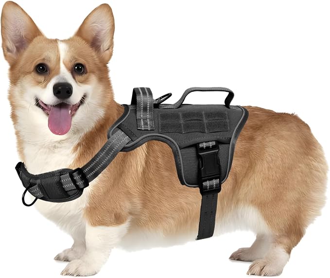 Dog Harness, Tactical No Pull for Small Sized Dog with Handle | Breathable Soft Padded, Adjustable, Reflective, Molle System, Heavy Duty, No Choke for Walking Training, Black Small