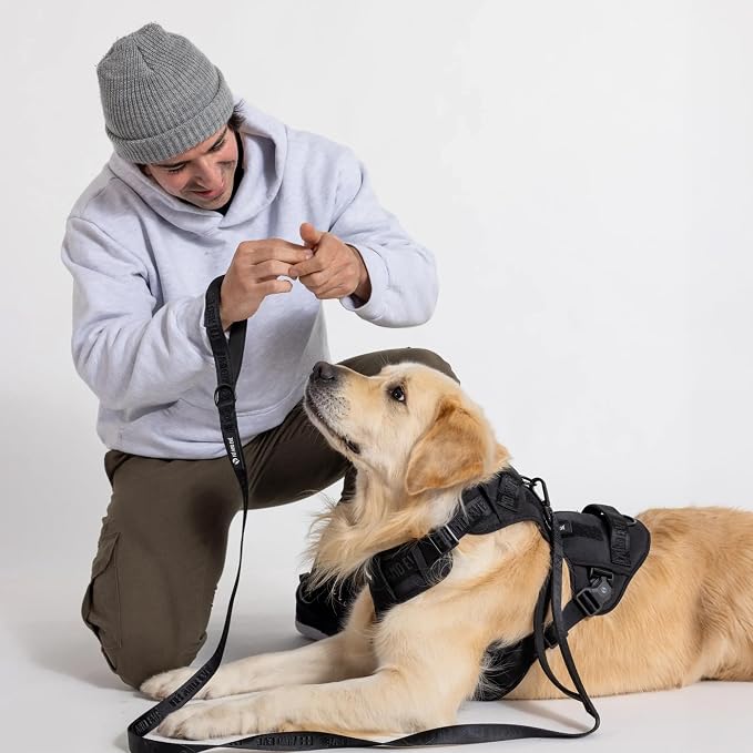 Fei & Eve Classic Dog Harness, MagEase Magnetic Buckle | 3-Point No-Pull Control, Dual Handle Support, 900D Nylon, Tactical Patch Panel, Heavy Duty, Medium, Black
