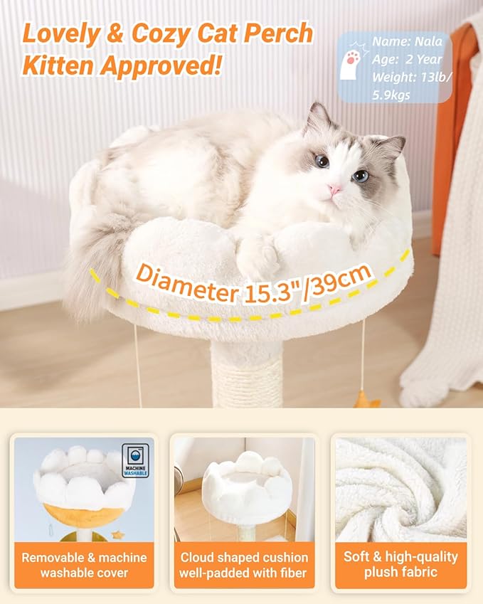 Happi N Pets 28" Tall Cat Scratching Post with Bed, Small Cat Tree for Indoor Cats, Thick Cat Scratch Post with Cloud-Shaped Soft Perch & Cute Toys, Stable Cat Stand, Removeable Cover, Bounus Catnip