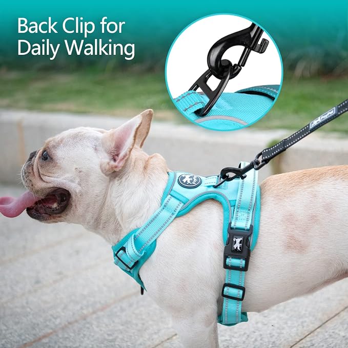 PoyPet No Pull Dog Harness, Reflective Vest with 2 Leash Clips & Handle | Lockable Neck Release Buckle, No Choke, Adjustable, Soft Padded, for Walking Training, Mint Blue Matching Trim, Small
