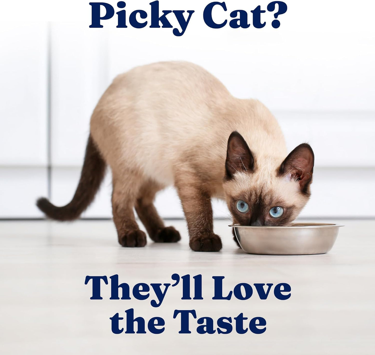 Solid Gold Wet Food Pate Flavorful Feast - 3 Count Sample Pack - Canned Cat Food Made with Real Chicken - Grain Free for Sensitive Stomach & Healthy Living