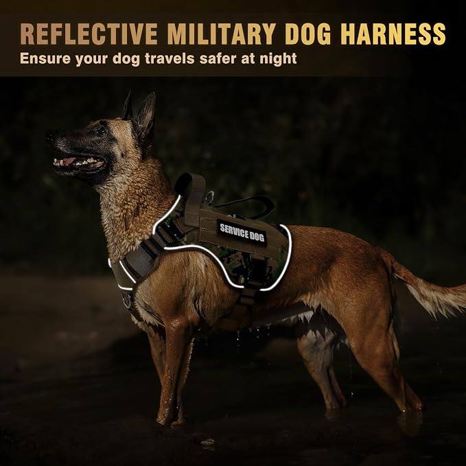 2X Metal Buckle Service Working MOLLE Dog Vest with 10 Pet Patches | Tactical Dog Harness for Large Dog, No-pull Military Working Vest for Training Hunting Walking，2x D Rings for Leash Clip