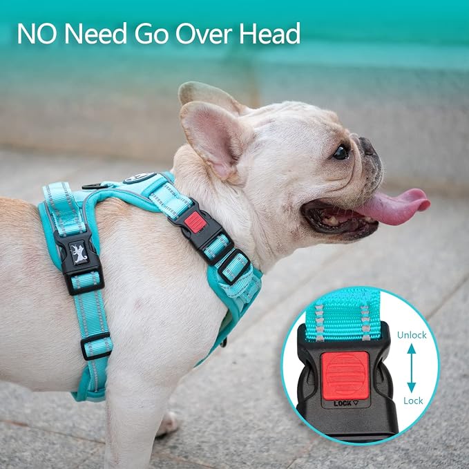 PoyPet No Pull Dog Harness, Reflective Vest with 2 Leash Clips & Handle | Lockable Neck Release Buckle, No Choke, Adjustable, Soft Padded, for Walking Training, Mint Blue Matching Trim, Large