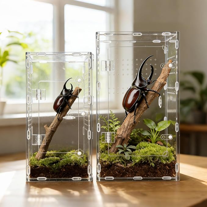 Acrylic Jumping Spider Enclosure, Reptile Terrarium Enclosure with Front Opening Door, 5.91×5.91×11.88 Inch Reptiles Habitat Tank Breeding Box for Tarantula Insect Snake Lizard