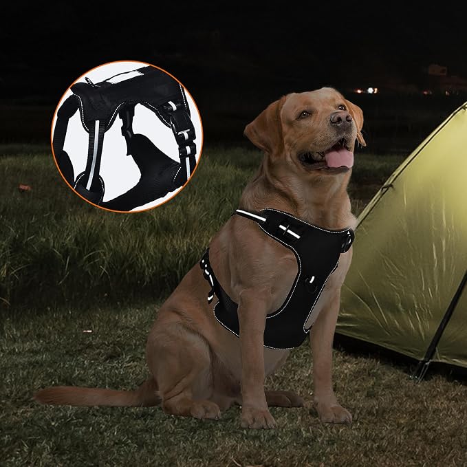 Amazon Basics No-Pull Dog Harness, Adjustable Front Clip, Escape Proof Tactical Vest, Medium, Black