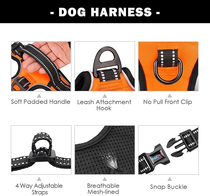Reflective Dog Harness Large Breed Adjustable No Pull Vest | with Handle 2 Metal Rings 3 Buckles [Easy to Put on & Take off](L, Orange)