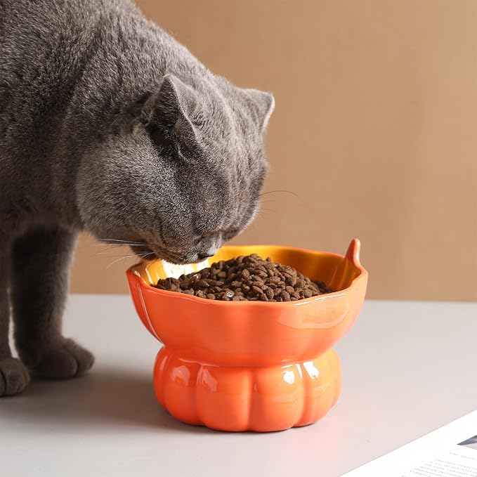 Pumpkin Raised Ceramic Cat Water Bowl, 9 oz, Whisker Friendly | Elevated cat bowl encourages healthy hydration and reduces neck strain. Suitable for most cats. Dishwasher safe
