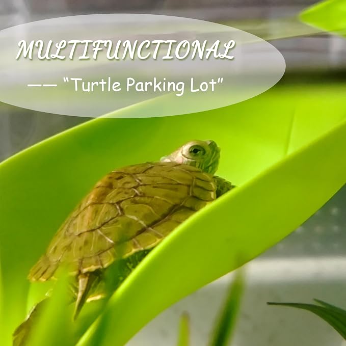 Tree Frog Terrarium Accessories, 3PCS Turtle Basking Platform | Aquarium decor with 3 suction cups, multifunctional reptile tank accessories for leopard gecko, snake, gecko, bearded dragon