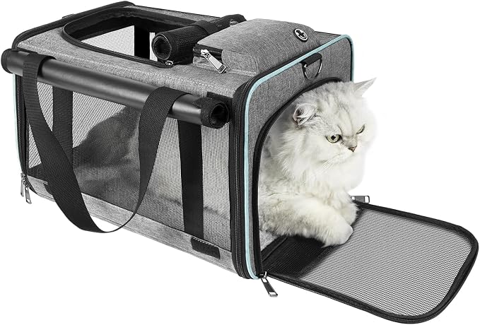 GAPZER Cat Carrier American, United, Delta Airline Approved/Soft-Sided Pet Travel Bag for Medium Cat 15+ lbs Small Dog Traveling Crate Under 15 Pounds TSA Approved Carrying Cage Underseat Cabin Gray