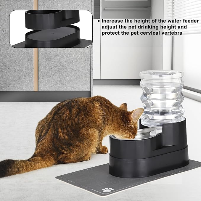 RIZZARI 5L Automatic Cat Water Dispenser: Elevated Filtered Cat Bowl | Durable Construction/Stable Base/Gravity Water Flow/Odor Reduction Filter/Elevated Drinking Position/Ideal for Indoor Spaces