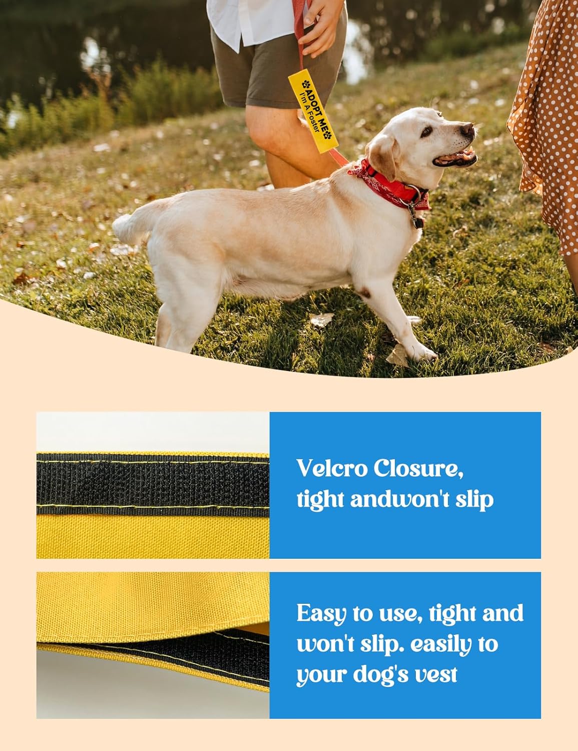 Adopt Me I’m A Foster Dog Leash Sleeve, Funny Yellow Dog Leash Wrap Alert Hanging ID Patch Tag, Adopt Me Leash Sleeve Dog No Pet Leash Sleeve Pet Birthday Gifts for Dog Owners