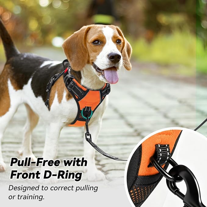 PoyPet No Pull Dog Harness Small with Front Clip & Neck Release Buckle | No Choke, Adjustable Vest, Reflective, Back Clip, Lockable, Soft Padded, Easy Control Handle for Walking Training, XS, Orange