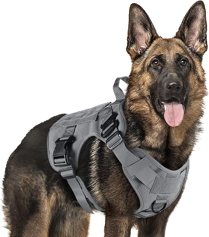 rabbitgoo Tactical Dog Harness X-Large, Heavy Duty Military No Pull Vest | Sturdy Metal Buckles, 5 Adjustments, Molle System, Powerful Pullers for Training, Hunting, Outdoor, Grey, X-Large