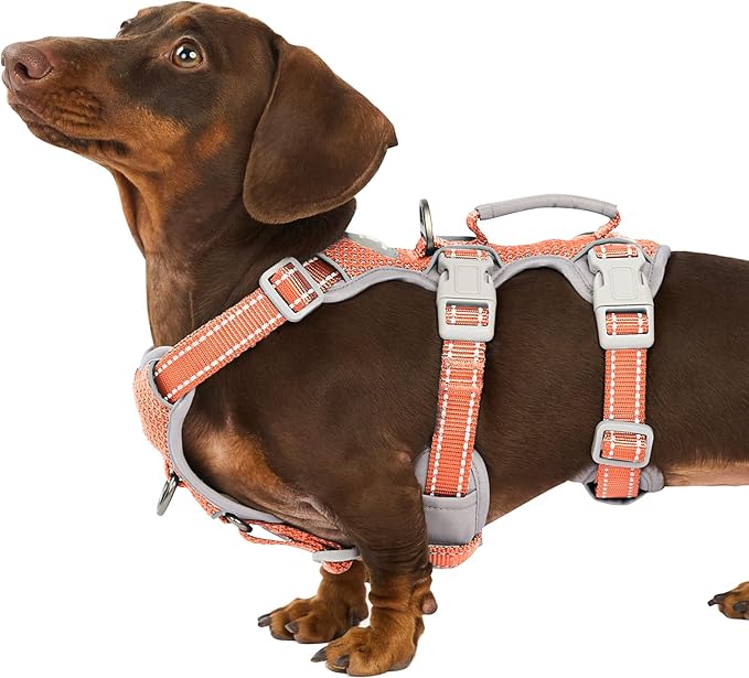 Escape Proof Dog Harness, Escape Artist Harness, Fully Reflective Harness with Padded Handle, Breathable, Durable, Adjustable Vest for Small Dogs Walking, Training, and Running Gear (Orange,S)