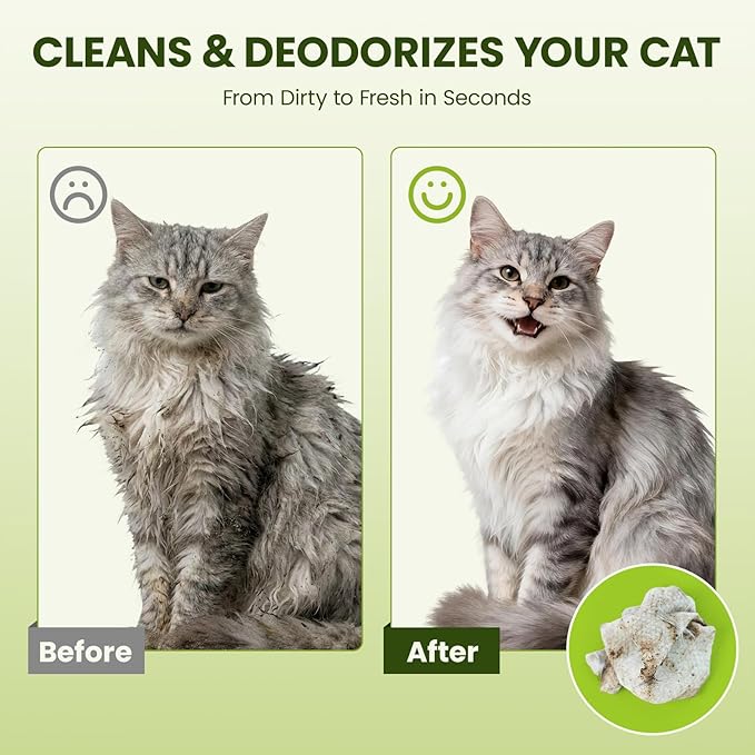 Hypoallergenic Pet Wipes for Dogs & Cats – Quick Clean & Deodorize Paws, Butt, Eyes, Ears, Face & Fur | Daily Grooming After Walks and Between Baths | Extra Large & Thick | Coconut Scented, 100 Count