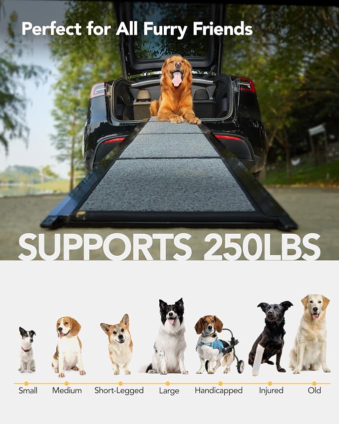 Dog Ramp for Cars, 63" L × 19.7" W, Lightweight Extra-Wide Foldable | Extra-Wide for a Safer Climb, Lightweight for Easy Transport, Non-Slip Rug Surface, 250-lb Capacity