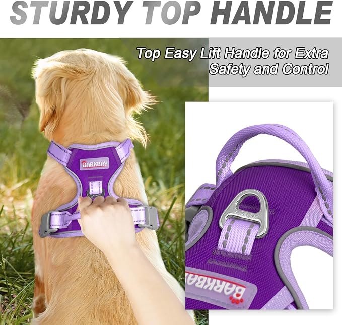BARKBAY Dog Harness No Pull for Medium Sized Dog Front Back Clips,Dog Vest | Soft Padded No Choke With Handle,Easy On&Off,Adjustable Reflective For Walking Training Running(Violet Purple & Purple,M)
