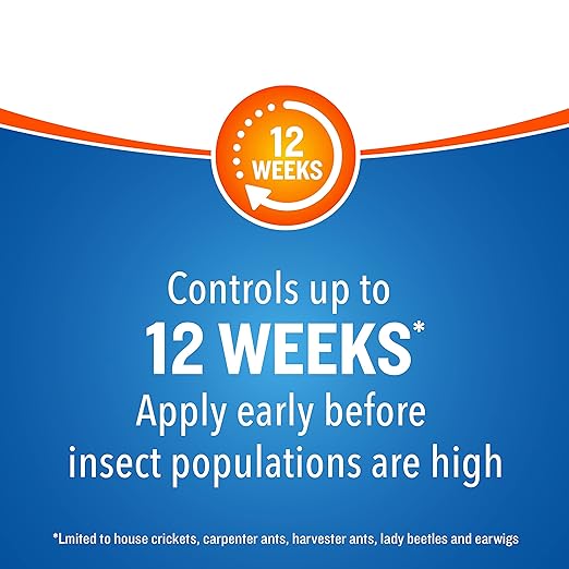 Cutter Backyard Bug Control Spray Concentrate (3 Pack), Kills Mosquitoes, Fleas & Listed Ants, 32 fl Ounce
