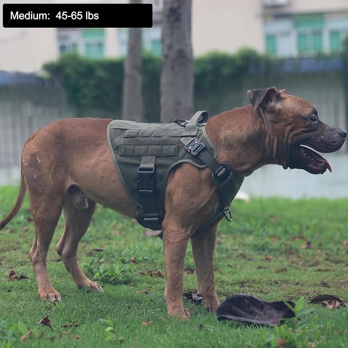 ICEFANG Tactical Dog Harness for Medium Dogs,Reflective No Pull Dog Vest | with Control Handle,Adjustable,Front Hook,2 Leash Clips,Soft Padded,MOLLE Panel,Green,Medium