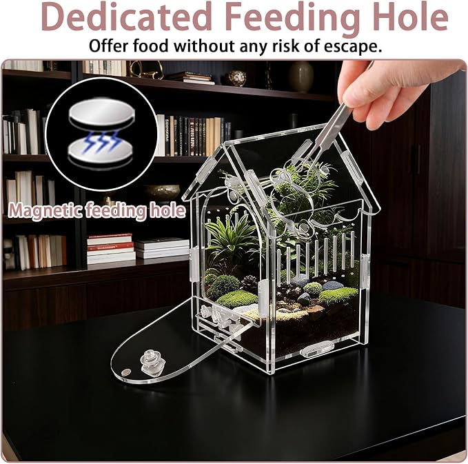 Acrylic Jumping Spider Enclosure 3.15"x3.15"x5.6" – Magnetic Front Opening Terrarium for Tarantulas, Mantis & Small Reptiles | Escape-Proof Habitat with Ventilation & No-Tool Assembly
