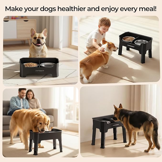 URPOWER Mess Proof Elevated Dog Bowls, Splash Guard Raised Bowl Stand | 4 Adjustable Heights, 2 Stainless Steel Bowls, Food & Water Separation, Foldable Design Non-Slip for Small Medium Large Dogs