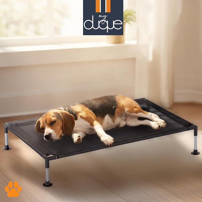 COOLA Pet Bed - Large - Black, 35.5 x 23.5 Dog Lounger, Breathable Mesh Fabric, Elevated Structure for Joints, Steel Frame, Animal 55lb Cap