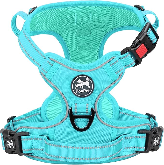PoyPet No Pull Dog Harness, Reflective Vest with 2 Leash Clips & Handle | Lockable Neck Release Buckle, No Choke, Adjustable, Soft Padded, for Walking Training, Mint Blue Matching Trim, X-Small