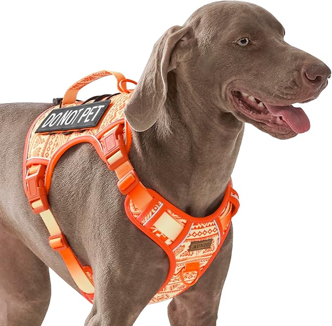 Orange Tactical Dog Harness with Ethnic Pattern for Big Dog, Like English Bulldog Doberman Husky Rottweiler Labrador, Easy to Put on and Take Off, No Pull Easy Walk Escapeproof No Choke, Large